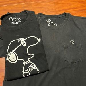 Kaws X Uniqlo Peanuts Collab